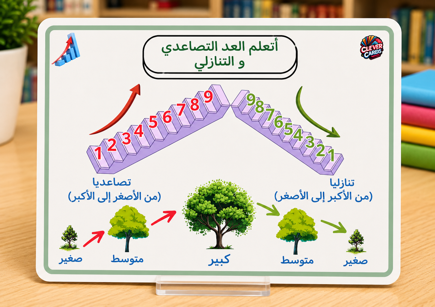 بطاقات الرياضيات – المستوى الأول ابتدائي | Cartes de mathématiques – 1re année